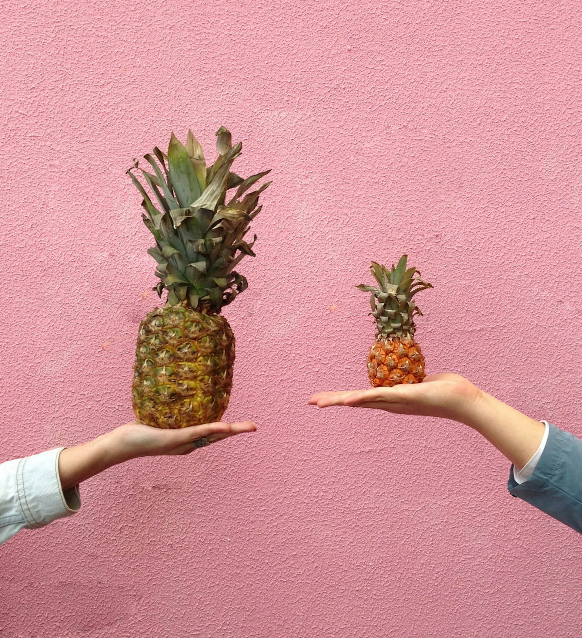 One large pineapple is held up on a hand on the left, one small pineapple is held up on a hand on the right.