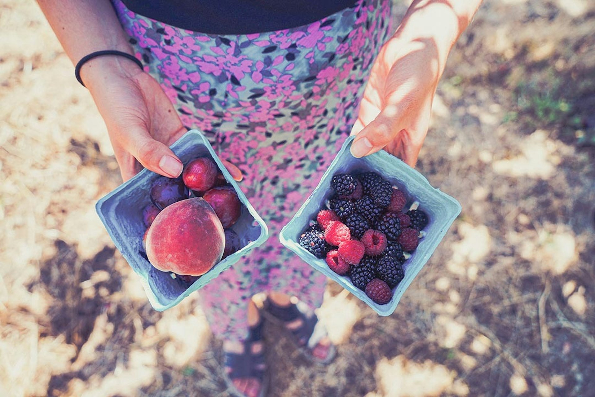 A woman in a flowery dress holding a punnet of summer fruit in each of her hands —one has a mixture of berries, the other has a mixture of plums and nectarines.