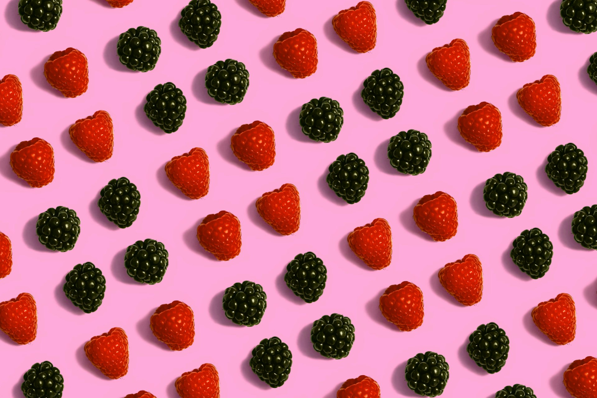 Rows of blackberries and raspberries.