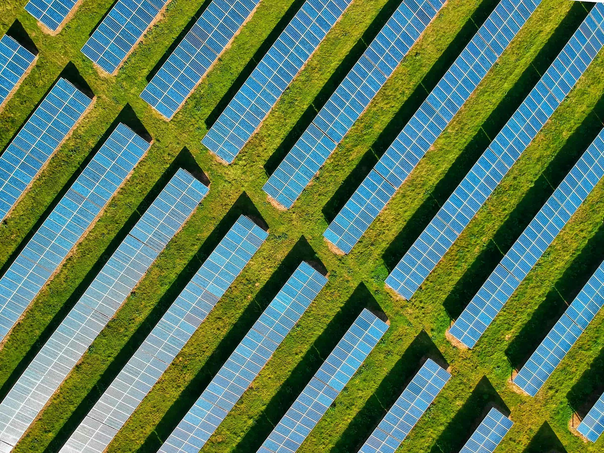 A field of solar panels.