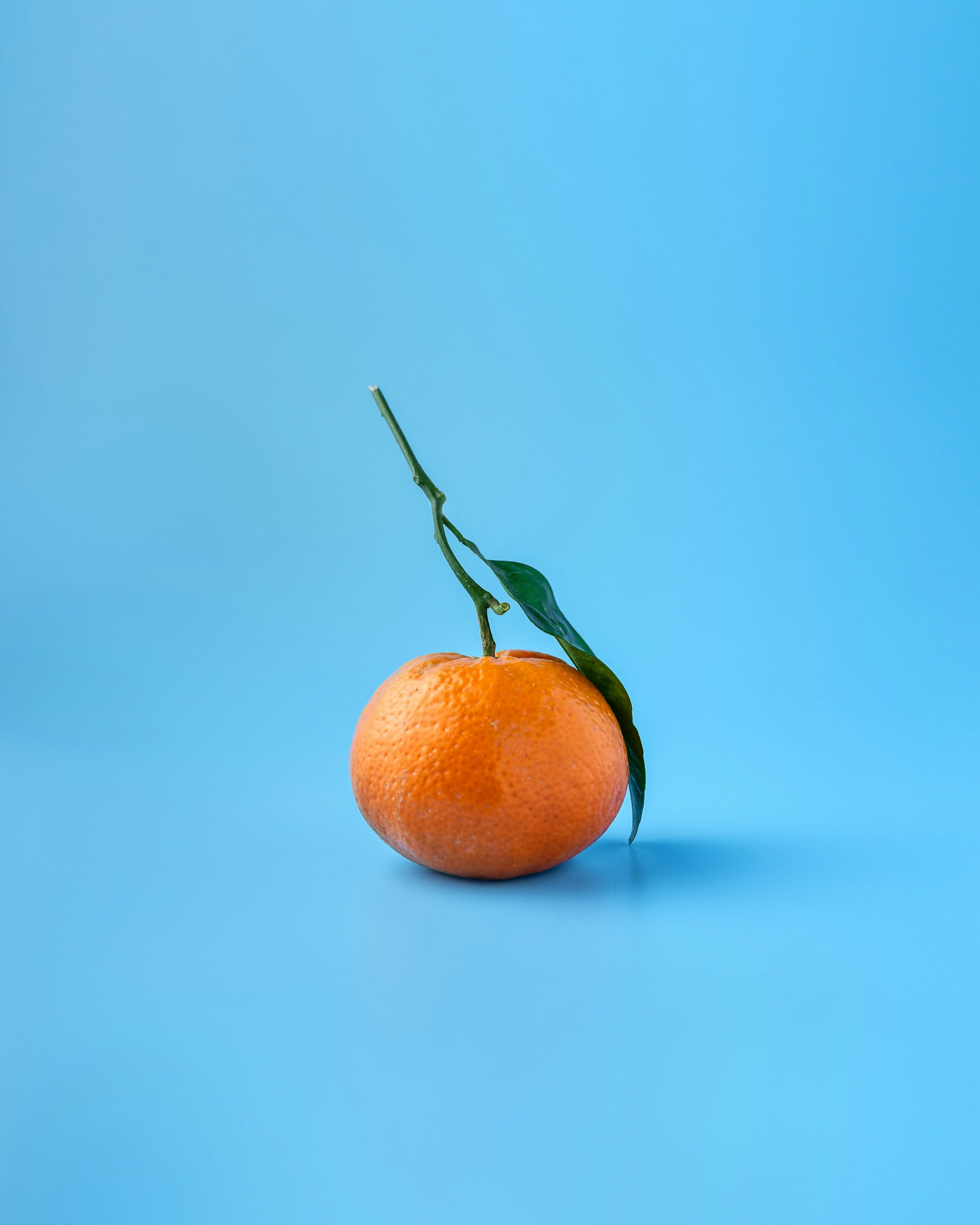 An orange on a light blue background.