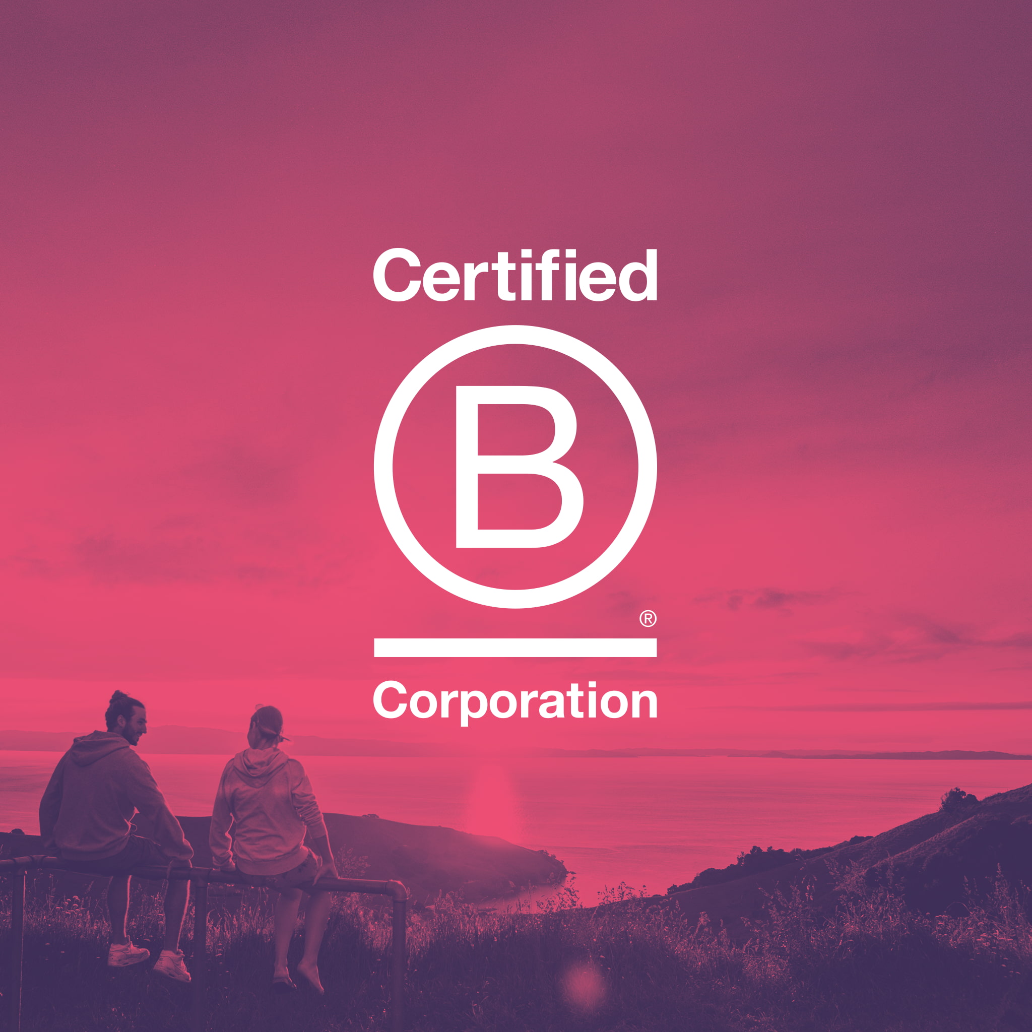 Being A B Corp: 5 Ways We Create Impact—Sharesies New Zealand